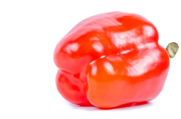 Pepper paprika — Stock Photo, Image