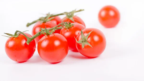 Cherry Tomatoes on Branch Isolated White — Stock Photo, Image