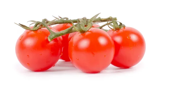 Ripe Fresh Cherry Tomatoes on Branch — Stock Photo, Image