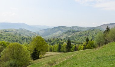 beautfiul gür yeşil peyzaj