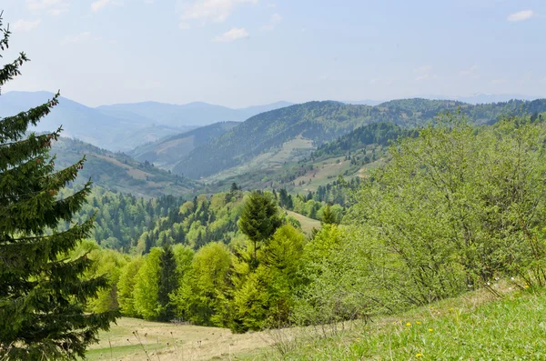 Gyönyörű buja hegyi táj — Stock Fotó