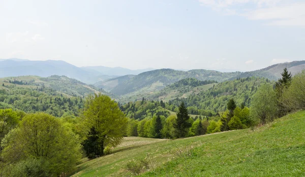 Beautfiul exuberante paisaje verde — Foto de Stock