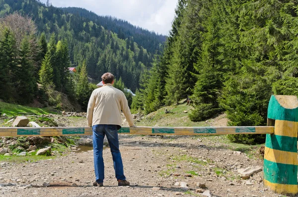 Man admiring a forested valley — Stock Photo, Image