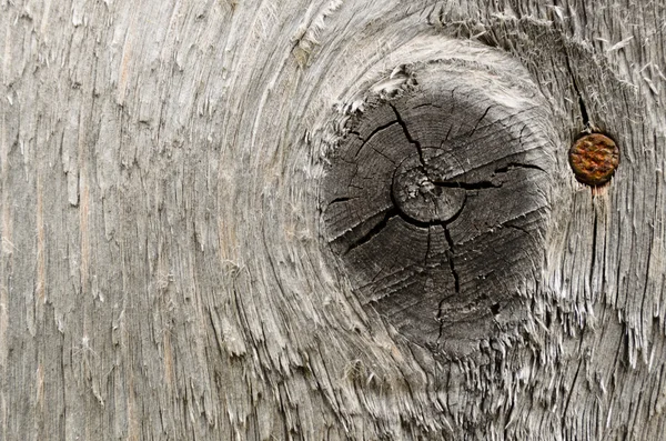 Old dried wood texture with a knot — Stock Photo, Image