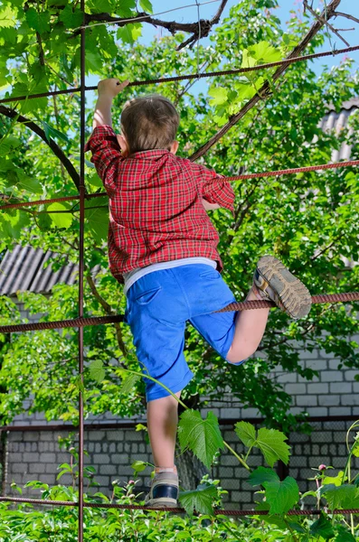 Ung pojke leker i trädgården — Stockfoto