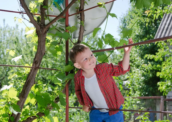 Happy little boy climbing on a metal frame — Stock Photo, Image