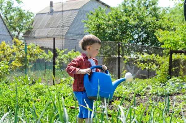 Lindo niño regando las verduras — Foto de Stock