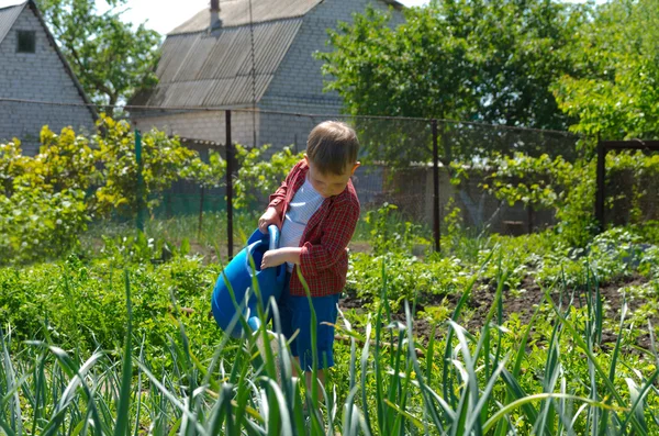 Petit garçon arrosant des plantes de jardin — Photo