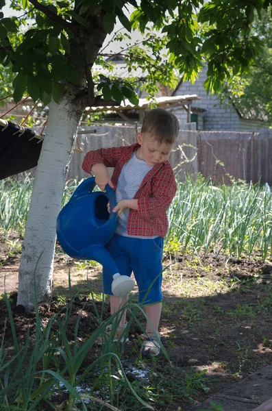 Cute little boy watering the garden — Stock Photo, Image