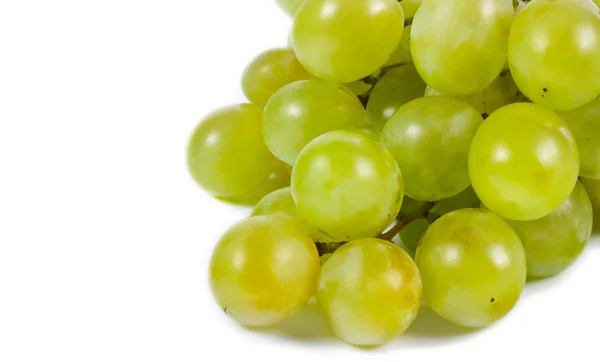 Bunch green grapes — Stock Photo, Image