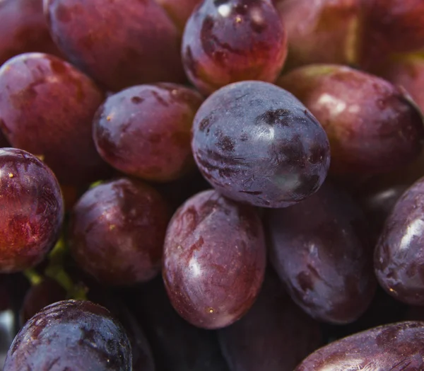 Sweet tasty red grapes, source of antioxidants — Stock Photo, Image