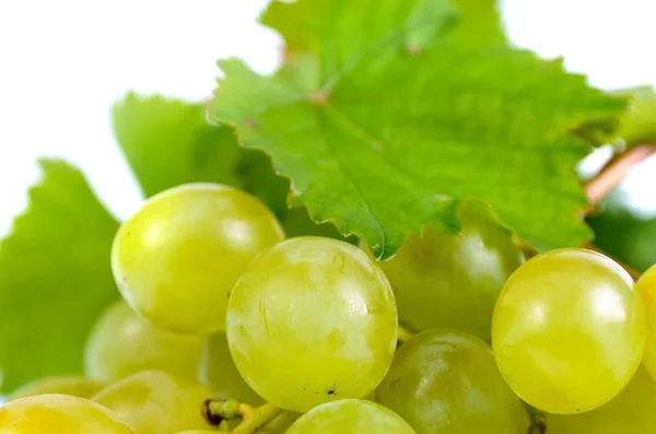 Bunch of fresh green grapes — Stock Photo, Image