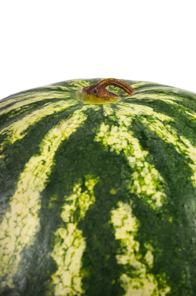 Variegated rind of a watermelon — Stock Photo, Image