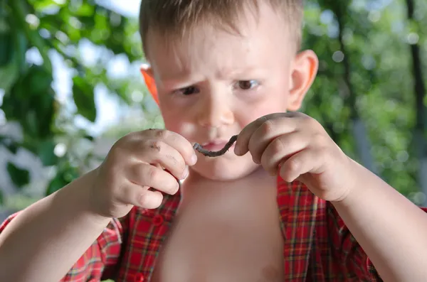 Neugieriger kleiner Junge mit einem Wurm — Stockfoto