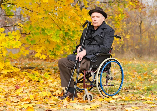 그의 휠체어에 장애인된 남자의 초상화 — 스톡 사진