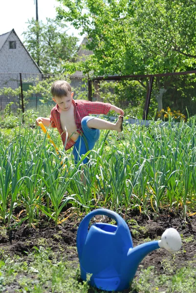 Ung pojke arbetar i veggie trädgård — Stockfoto