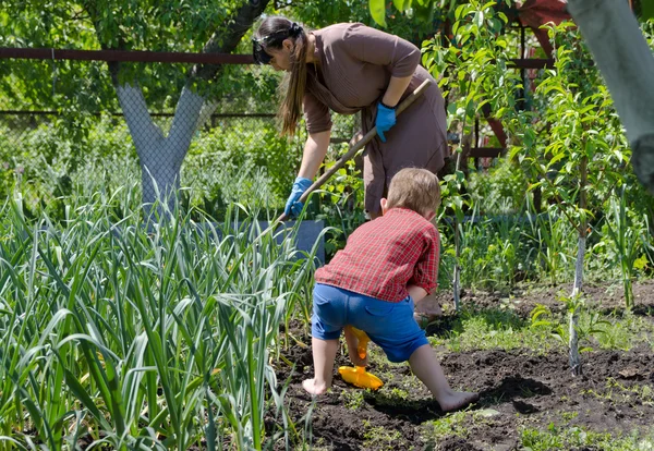 Mutter und Sohn arbeiten im Gemüsegarten — Stockfoto