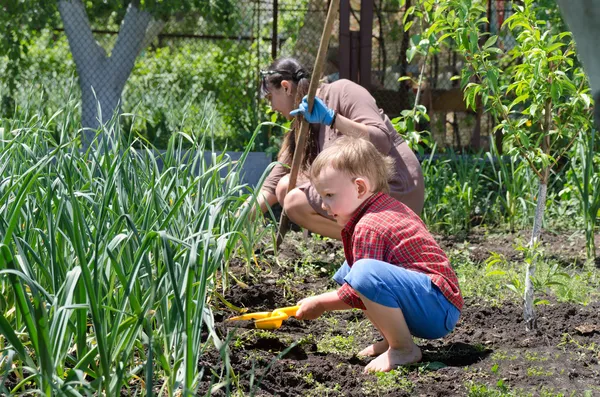 Schattige kleine jongen de moestuin wieden — Stockfoto