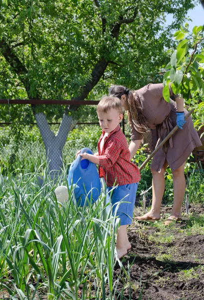 Jonge jongen drenken de moestuin — Stockfoto