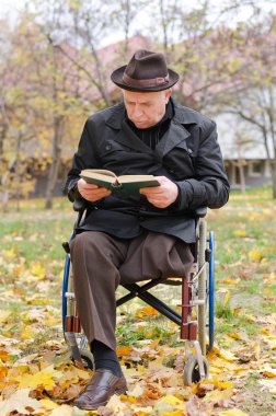 tekerlekli sandalyeli özürlü yaşlı adam