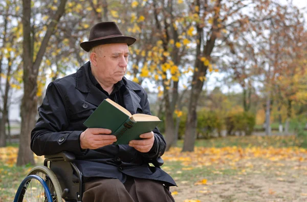 Handicapped elderly man in a wheelchair — Stock Photo, Image