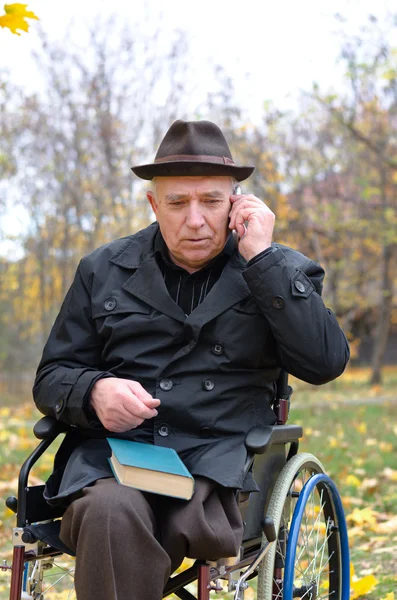 Elderly disabled man in a wheelchair in a park — Stock Photo, Image