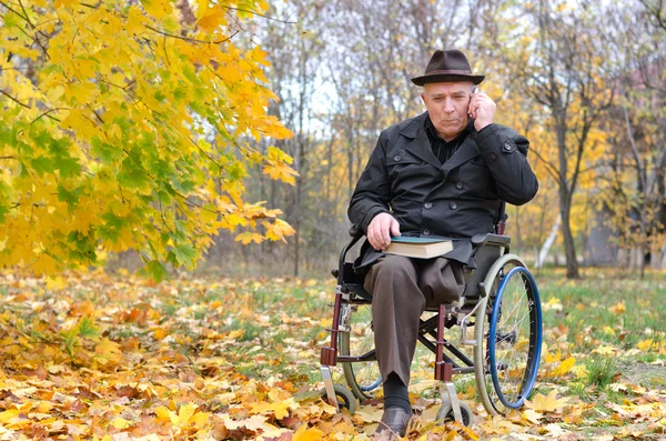 Пожилой инвалид в инвалидной коляске в парке — стоковое фото