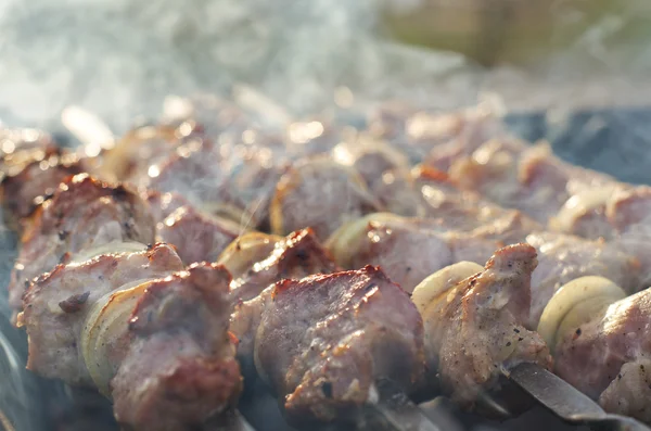 Kebabs fumando na grelha em um churrasco — Fotografia de Stock