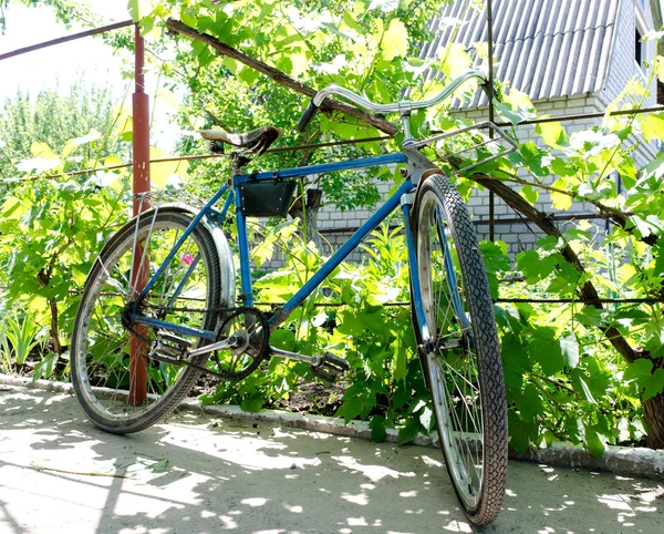 Mans bicycle standing against a metal fence — Stock Photo, Image