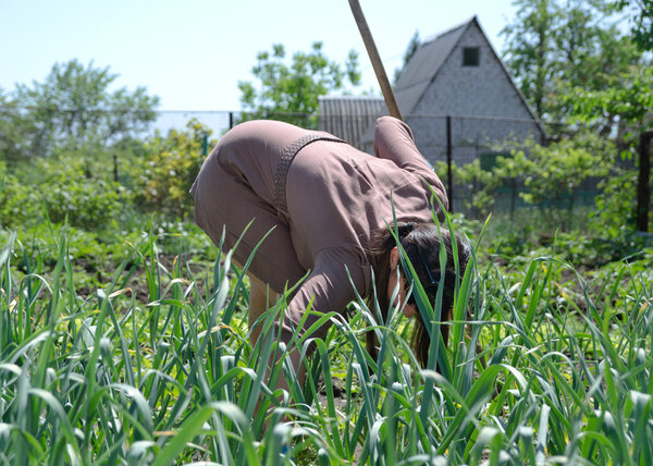 Woman working in the vegetable garden
