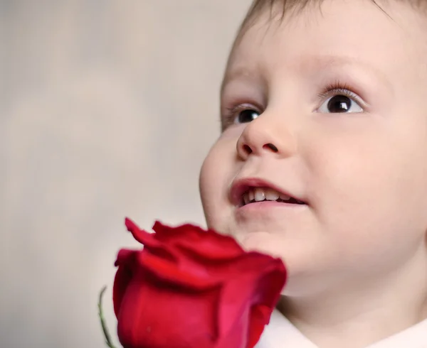 Roztomilý andělský chlapeček s červenou růží — Stock fotografie
