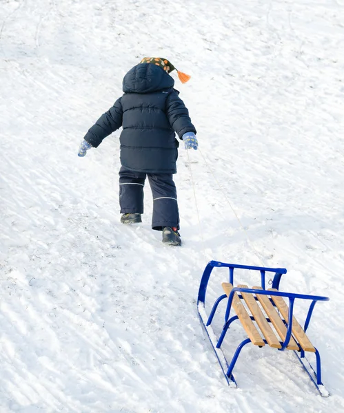 Kleines Kind zieht einen blauen Schlitten durch den Schnee — Stockfoto