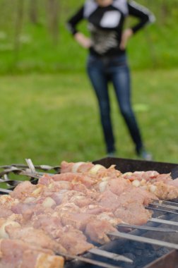 Yaz Barbekü yemek eti kebaplar