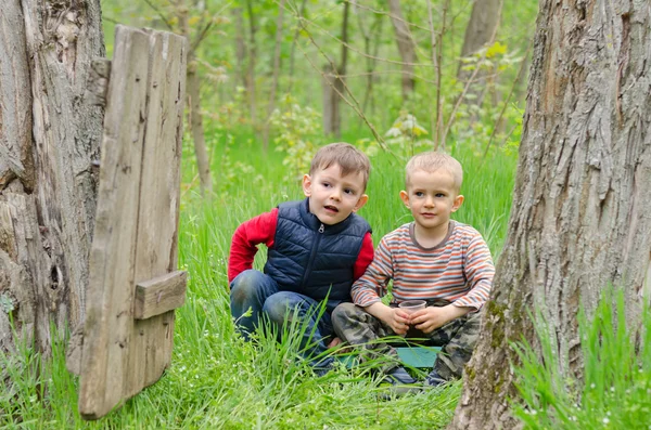 Two cute young boys playing in woodland — Stock Photo, Image