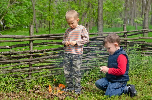 Two small boys lighting a fire in woodland — Stock Photo, Image