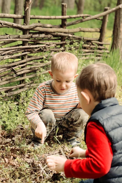 Two young boys discussing lighting a campfire — Stock Photo, Image