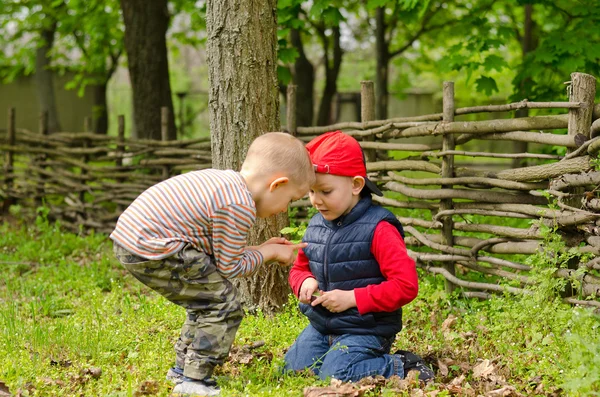 Twee jonge jongens spelen met lucifers — Stockfoto