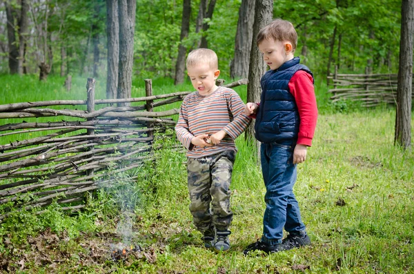 Two small boys lighting a fire in woodland — Stock Photo, Image