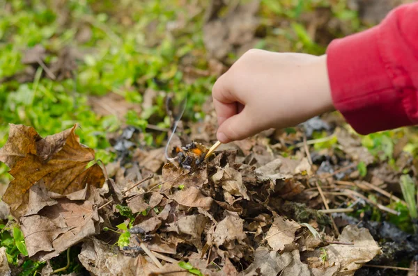 Enfant frappant un match — Photo