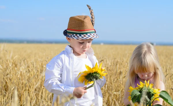 Девочка и мальчик рассматривают желтые подсолнухи — стоковое фото