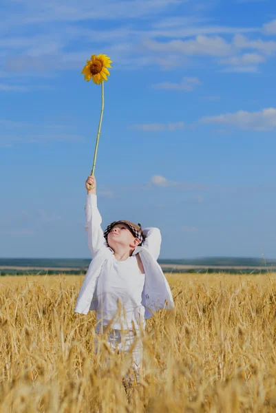 Boy holding a sunflower in the middle of a field — Stock Photo, Image