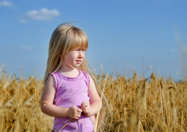 Menina caminhando em um campo de trigo — Fotografia de Stock