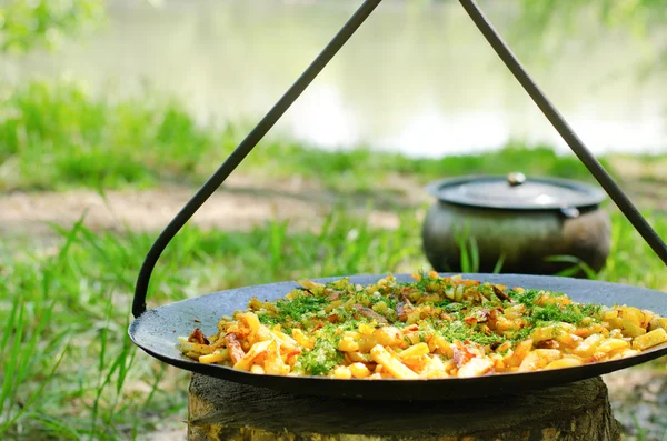 Savory chips and herbs on a barbecue — Stock Photo, Image