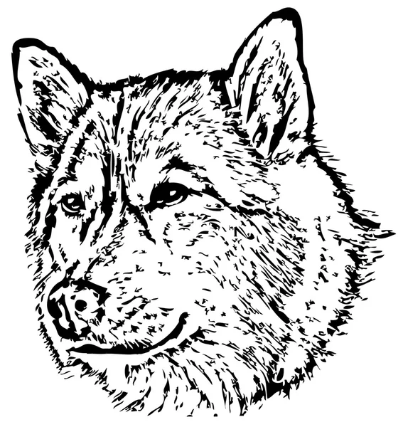 Černý vlk — Stockový vektor