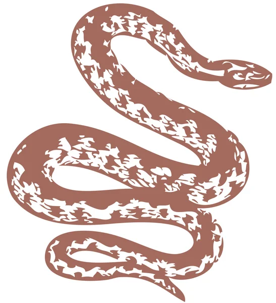 Brown snake — Stock Vector