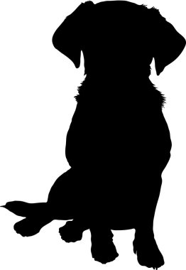 karışık cins köpek siluet