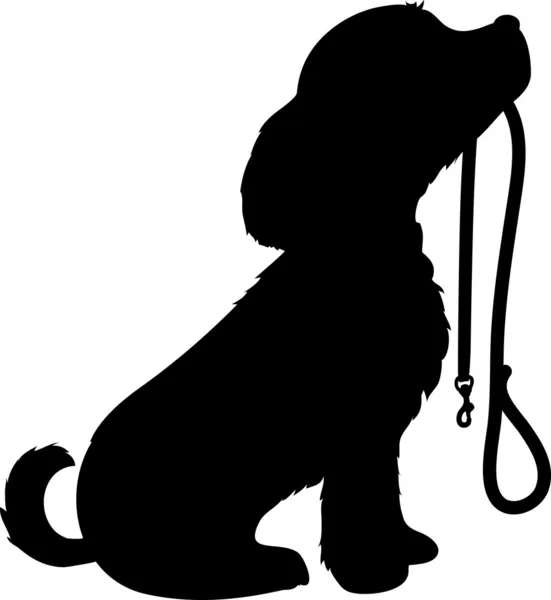 Dog and Leash — Stock Vector