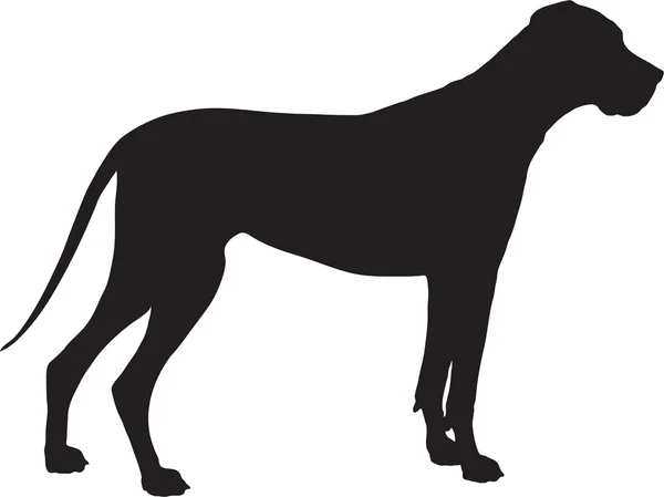 Great dane silhouet — Stockvector