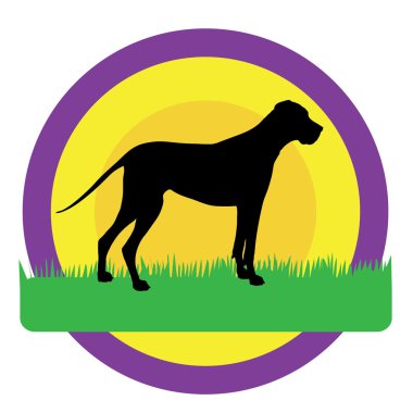 köpek daireler