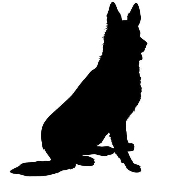 German Shepherd Silhouette — Stock Vector